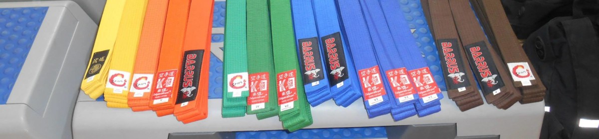 Team Karate Santopinto