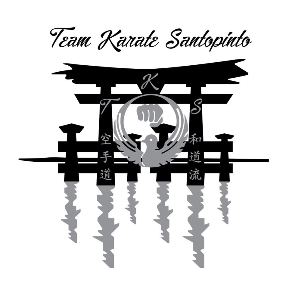Logo della Team Karate Santopinto