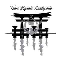 Team Karate Santopinto